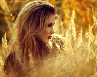 Woman blonde longhair field blowing - tall free wallpaper