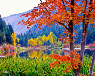 Lake fall colors mountain forest - fall free wallpaper for desktop