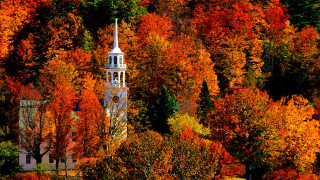 Church steeple fall foliage autumn - fall foliage free wallpaper