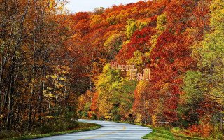 Fall road trees colors happy - american barbizon school free wallpaper