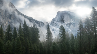 Mountain forest clouds sky trees - a forest below free wallpaper