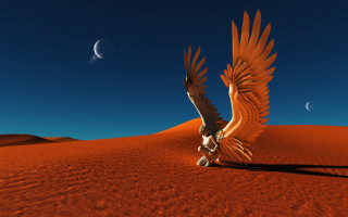 Bird wings desert crescent half - sci fi fantasy free wallpaper