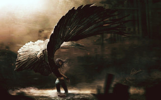 Woman black feather dark forest - a dark forest free wallpaper