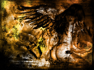 Bird wings cross chest painting - a painting of a bird free wallpaper