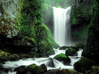 Waterfall forest mossy rocks nature - mossy rock and trees free wallpaper