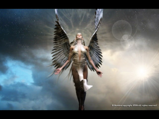 Woman wings sky star background - a star in the background free wallpaper