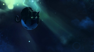 Black cat glowing eyes tails - tail free wallpaper for desktop