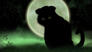 Black cat grass full moon - a green glow free wallpaper