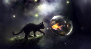 Cat bubble fish fire fantasy - a bubble free wallpaper