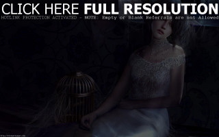 Woman white dress birdcage table - digital painting free wallpaper for desktop