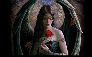 Woman rose wings neck arm - a rose free wallpaper