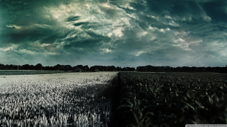 Cloudy sky field grass trees - dirk crabeth free wallpaper