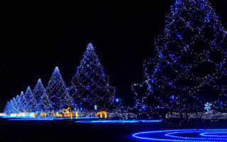 Christmas tree blue lights night - large free wallpaper for desktop