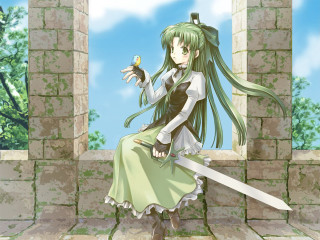 Girl long hair sword flower 2 - a stone wall free wallpaper