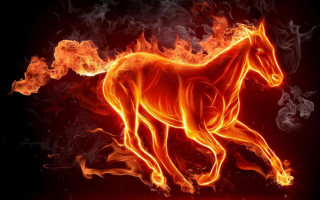Horse running fire field smoke - a horse free wallpaper for desktop