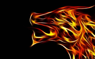 Lion head flames black background - alison kinnaird free wallpaper for desktop