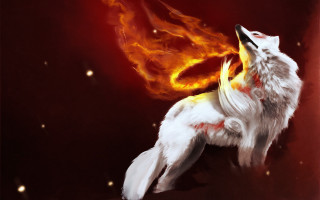 White wolf red yellow tail - a white wolf free wallpaper