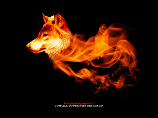 Wolf dark fire mouth head - a wolf free wallpaper