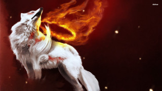 White wolf red yellow tail 2 - a white wolf free wallpaper