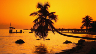 Palm tree sunset ocean pier 3 - against a sunset over the ocean free wallpaper for desktop