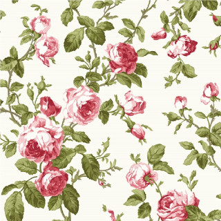 White background pink red roses - a flemish baroque free wallpaper for tablet
