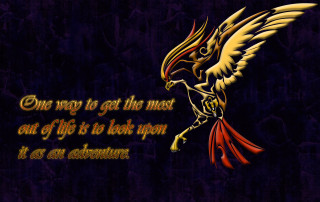 Bird quote image pic beautiful - most free wallpaper