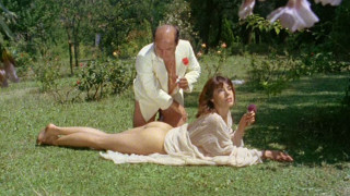 Man woman sitting grass park - daphne fedarb free wallpaper