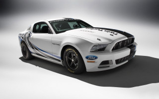 White mustang police car side - a police car free wallpaper