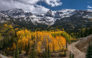 Mountain range dirt road forest 2 - the top of the mountains free wallpaper for desktop