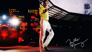 Man yellow shirt stage microphone - alfred freddy krupa free wallpaper