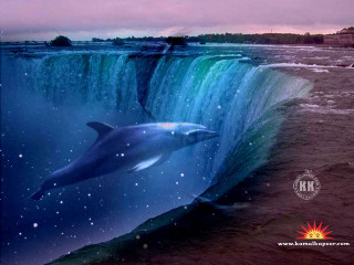 Dolphin swimming waterfall background manmade - magical free wallpaper for desktop
