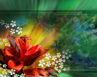 Red flower white flowers green - the center of it free wallpaper for desktop