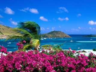 Tropical island boats purple flowers - a tropical island free wallpaper
