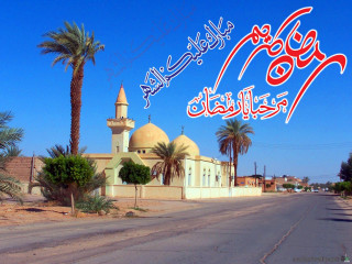 Street sign mosque palm trees - foreign free wallpaper