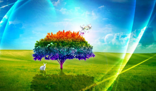 Rainbow tree white rabbit grass - a white rabbit free wallpaper for desktop