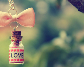 Bottle bow chain tree love - a bottle free wallpaper for desktop