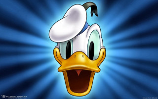Cartoon duck hat blue background 3 - a cartoon duck free wallpaper