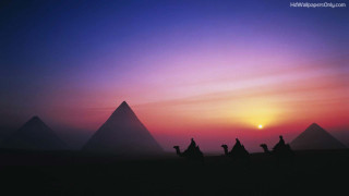 Camel riders desert sunset pyramids - egyptian art free wallpaper