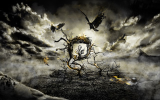 Surreal scene birds tree stump - surreal free wallpaper