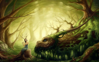 Woman tree stump forest dragon - a tree stump in a forest free wallpaper