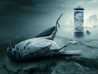 Dead bird streetlight trashcan city - surreal photography free wallpaper for desktop