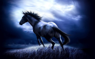 Horse running field grass cloudy 4 - a full moon behind free wallpaper