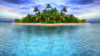 Tropical island palm trees blue 2 - blue water free wallpaper