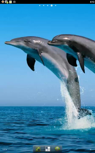 Dolphins jumping ocean blue sky 17 - free animals wallpaper for mobile