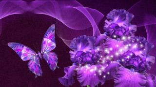 Purple flower butterfly air background - the air free wallpaper