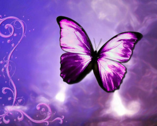 Purple butterfly glowing swirls bubbles - swirl free wallpaper for desktop
