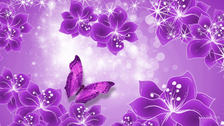 Purple butterfly purple flower white 2 - white star free wallpaper