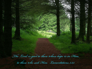 Path in woods bible verse - the lord free wallpaper
