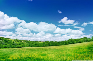 Field sky clouds trees green - cloud and trees free wallpaper for desktop
