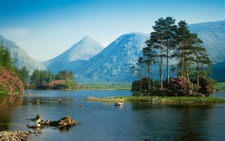 Lake mountains trees animals birds 4 - alexander johnston free wallpaper